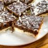 close up if coconut bars on white plate