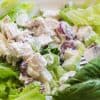 close up of chicken salad on a bed of lettuce