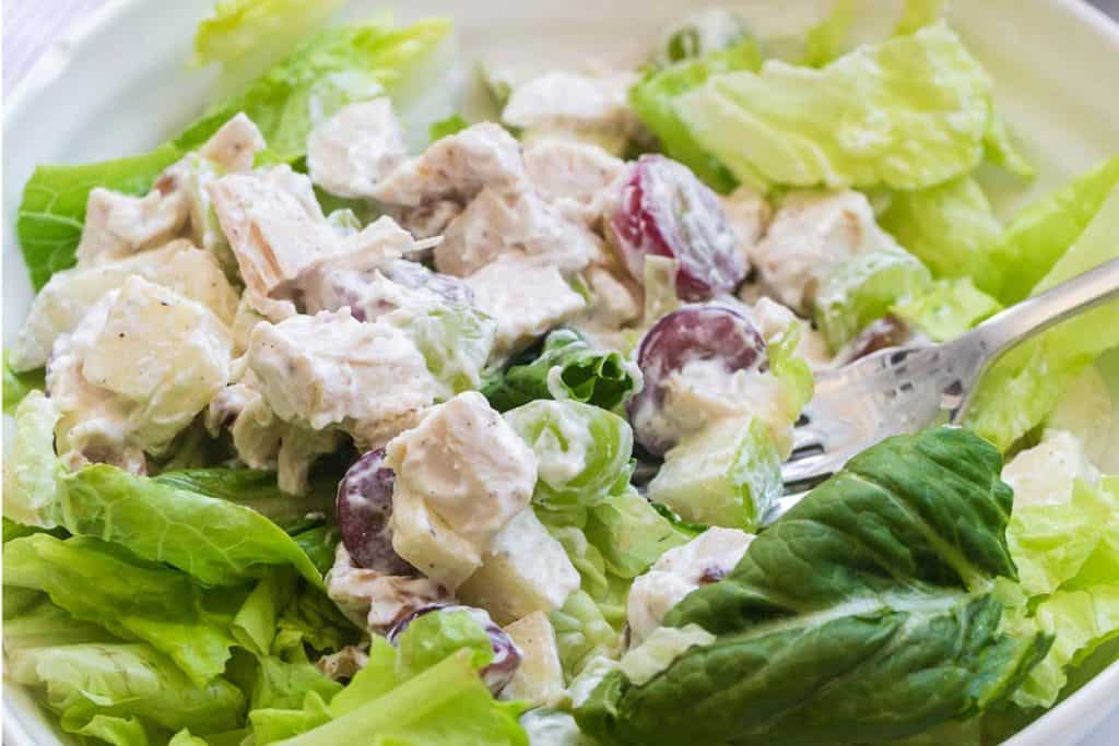 close up of chicken salad on a bed of lettuce