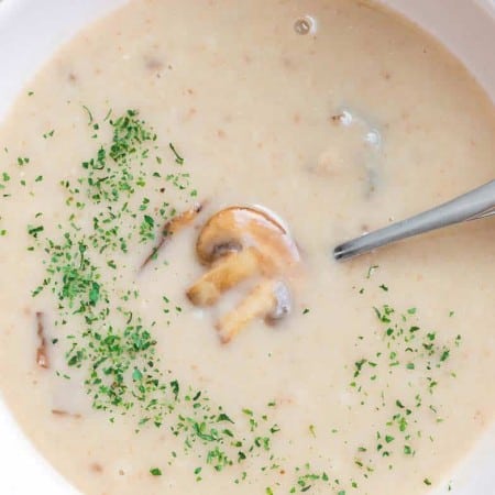 close up of cream of mushroom soup in white bowl