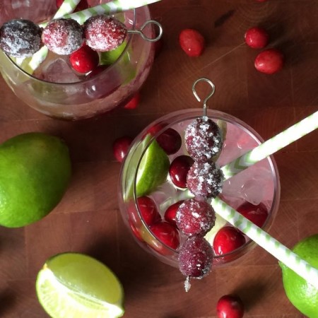 Cranberry Lime Mocktail