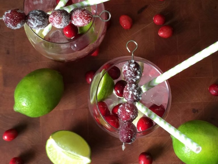 Cranberry Lime Mocktail