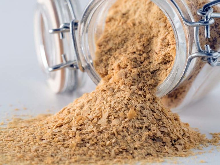 What is Nutritional Yeast?