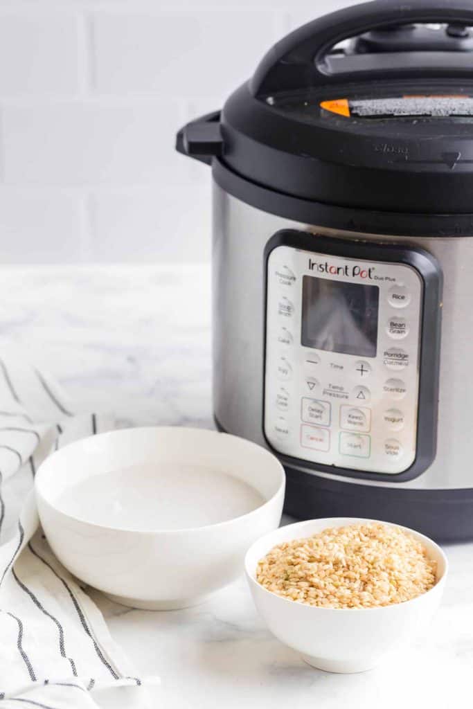 instant pot, bowl of coconut milk, and bowl of rice