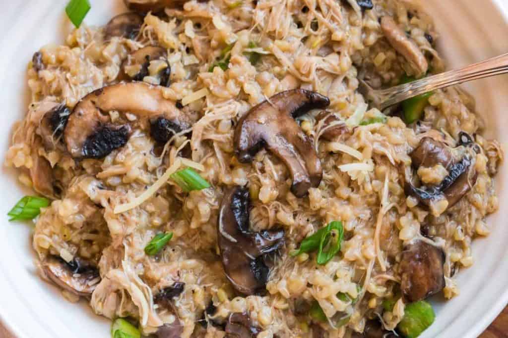 close up of mushroom risotto