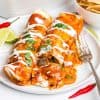 white plate with two Healthy Carne Asada Enchiladas