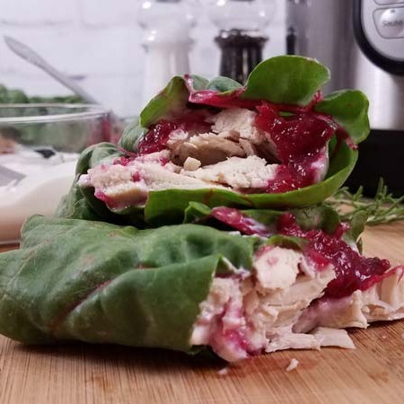 close up of turkey cranberry wraps