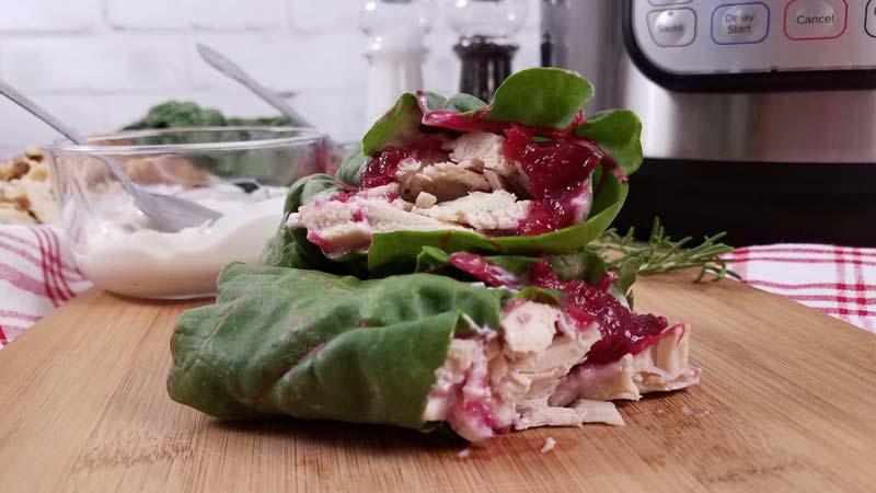 close up of turkey cranberry wraps