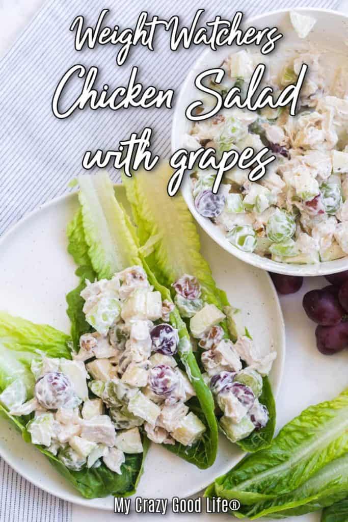 Weight Watchers Chicken Salad with Grapes